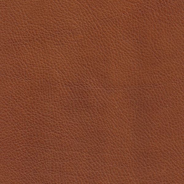 Cera 2850 Cognac